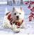 Wunderbare Hunde-Weihnacht